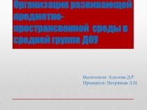 Организация предметно-развивающей среды в средней группе