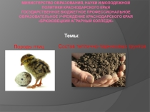 состав теплично-парниковых грунтов