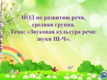 НОД по развитию речи, средняя группа. Тема: Звуковая культура речи: звуки Щ-Ч