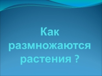 Презентация по природоведению на тему  Как размножаются растения (5 класс)