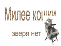 Презентация по окружающему миру на тему Милее кошки зверя нет