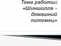 Презентация к проекту Шиншилла - домашний питомец