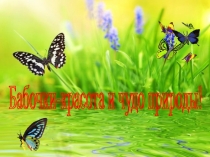 Проект Бабочки - красота и чудо природы!