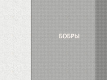 Презентация по окружающему миру. Бобры.