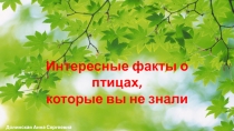 Разработка классного часа к международному дню птиц