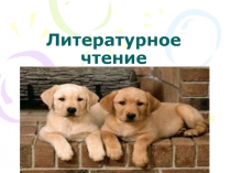 Презентация Барбос и Жулька