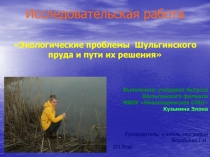Презентация по экологии на тему Шульгинский пруд