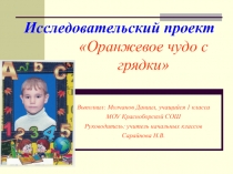 Презентация исследовательского проекта на тему Оранжевое чудо с грядки