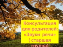 Презентация для родителей по подготовке к обучению грамоте детей с ОВЗ (старшая группа) на тему