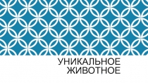 Презентация по психологии на тему Уникальное животное
