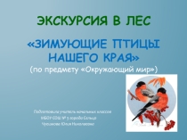 Презентация по окружающему миру Экскурсия Зимующие птицы нашего леса