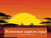 Животные жарких стран