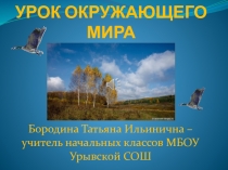 Презентация по окружающему миру на тему Кто такие птицы (1 класс)