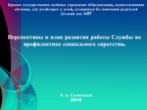 Презентация Перспективы и план развития работы Службы по профилактике социального сиротства