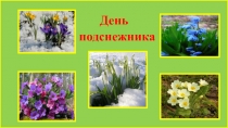 Презентация. Тема: День подснежника