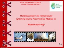 Красная книга.Животные.Республики Марий Эл.