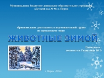 Презентация для подготовительной группы по окружающему миру: Животные зимой