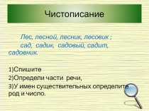 Презентация к уроку род имен прилагательных