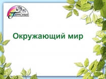 Презентация по окружающему миру на тему В саду и в огороде (1 класс, УМК Гармония)