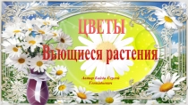 Презентация для 5 класса  Вьющиеся растения