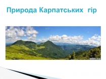 Презентація Природа Карпатських гір