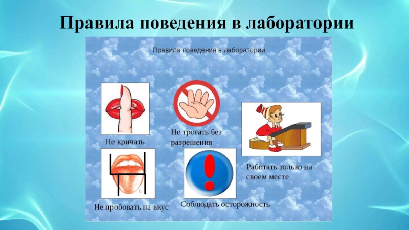 Мастер-класс для педагогов Детское экспериментирование, как эффективная форма развития познавательных способностей у детей среднего дошкольного возраста Правила поведения в лаборатории Правила поведения в лаборатории