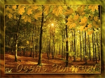 Золотая осень