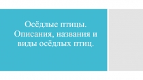 Осёдлые птицы. Описания, названия и виды осёдлых птиц.