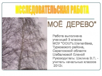 Презентация исследовательской работы Моё дерево