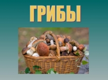 ПРЕЗЕНТАЦИЯ НА ТЕМУ ГРИБЫ