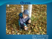 Творческая работа обучающегося по теме: Осень