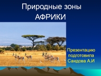 Презентация по географии 7 класс Природные зоны Африки