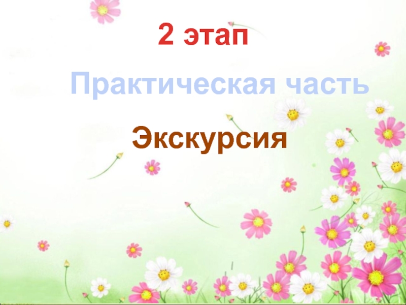 Научно- исследовательский проект Лесная аптека на службе человека 4 класс 2 этапПрактическая частьЭкскурсия 2 этапПрактическая частьЭкскурсия