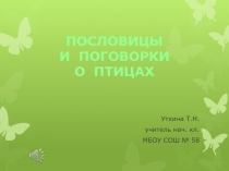 Пословицы и поговорки о птицах (3 класс)