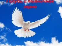 Презентация к сказке Голубь и пшеничное зерно