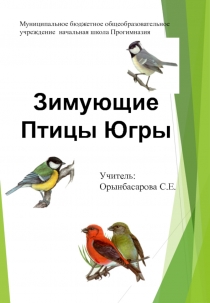 Презентация к уроку Зимующие птицы Югры