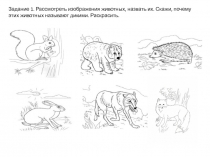 Презентация по ознакомлению с окружающим тема: Дикие животные
