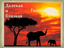 Презентация к занятию Заочное путешествие по Гвинее-Бисау