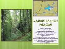 Презентация по экологии Удивительное рядом! (для дошкольников 6-7 лет)