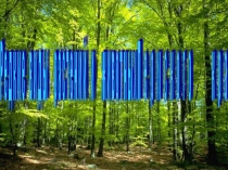 Редкие виды растений и животных Пермского края