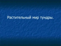Презентация по биологии на тему Растительный мир ТУНДРЫ 11 класс