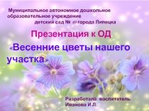 Презентация к ОД Весенние цветы нашего участка