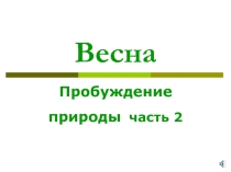 Весна - пробуждение природы