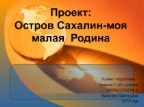 1 класс. ПЕРВЫЕ ШАГИ (проекты,)