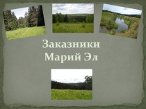 Презентация по экологии ООПТ заказники Марий Эл