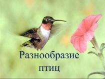 Презентация для занятия внеурочной деятельности по теме Работа с конструктором ЛЕГО. Модель Танцующие птицы.Программирование. 4 класс
