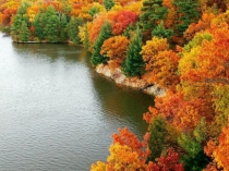 Презентация по математике Арифметические действия над числами