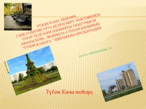 Түбән Камага багышланган презентация.  Түбән Камага шигыренә. Авторы Афанасьева Л.С.