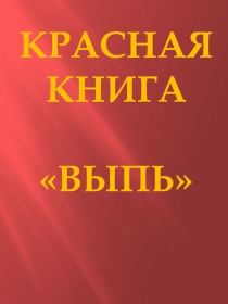 Презентация для дошкольников Птицы занесенные в красную книгу. Выпь