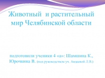 Презентация по окружающему миру Животный и растительный мир Челябинской области
